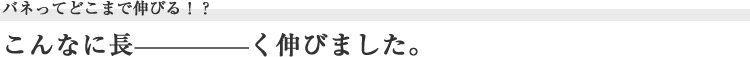 バネってどこまで伸びる?!こんなに長ーく伸びました。